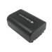 Sony HDR-PJ710V